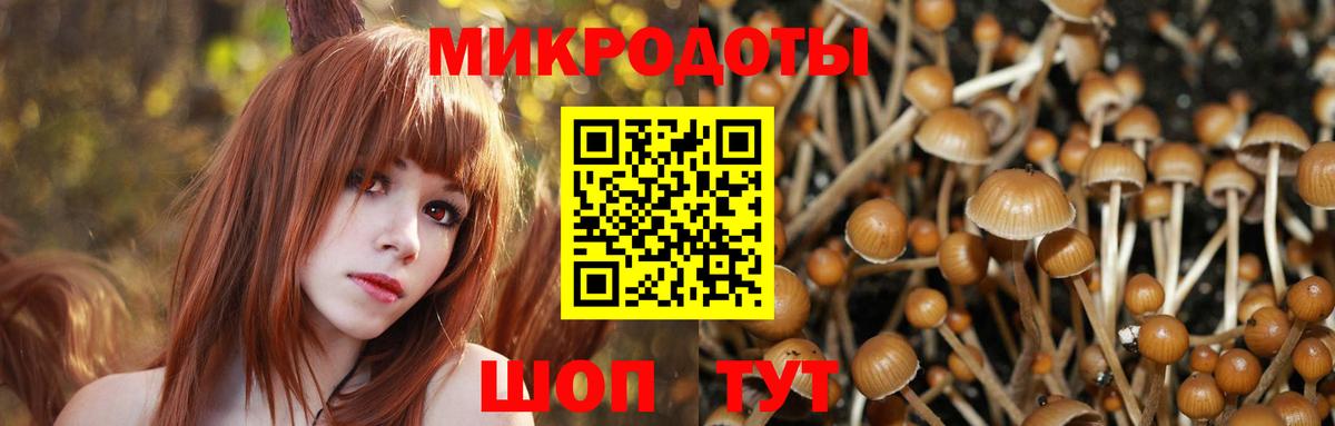дарнет шоп  Псилоцибиновые грибы Cubensis  Вход с VPN  Новоалтайск 